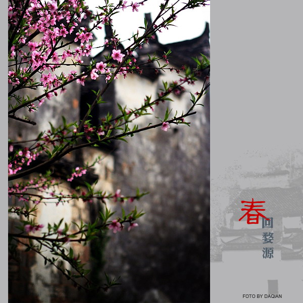 【预告贴】春回婺源