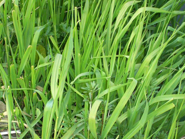 [原创]看，春天走过的痕迹，仅仅是纪实