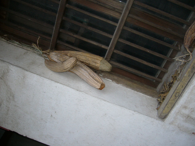 [原创]看，春天走过的痕迹，仅仅是纪实