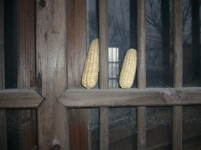 [原创]看，春天走过的痕迹，仅仅是纪实