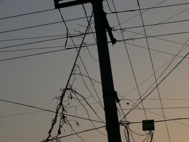 [原创]看，春天走过的痕迹，仅仅是纪实