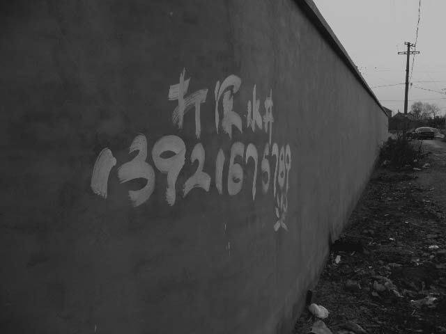 [原创]看，春天走过的痕迹，仅仅是纪实