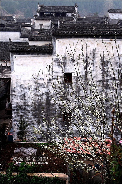 婺源【春的印记】