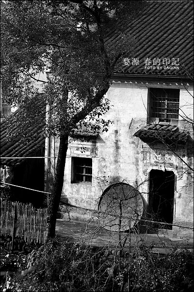 婺源【春的印记】