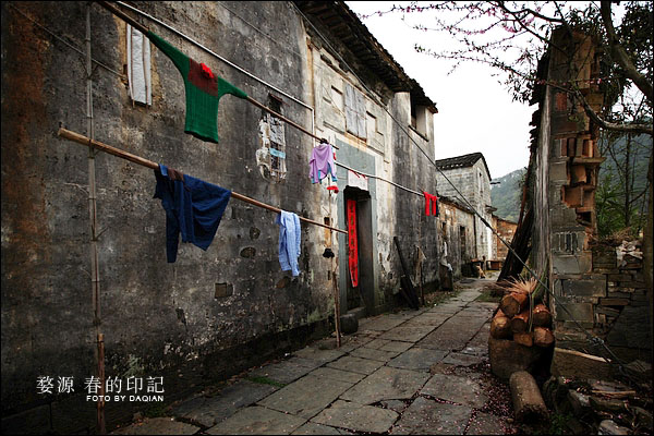 婺源【春的印记】