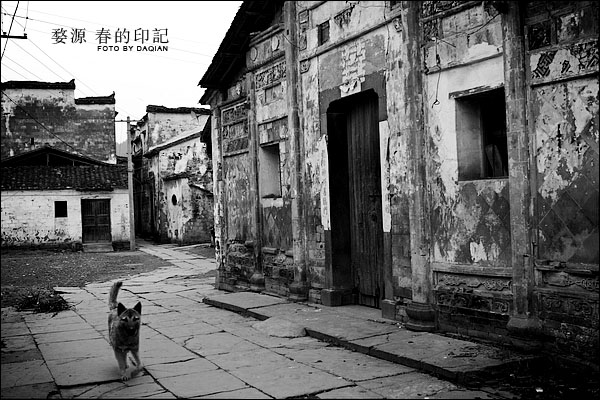 婺源【春的印记】