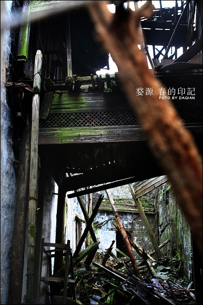 婺源【春的印记】