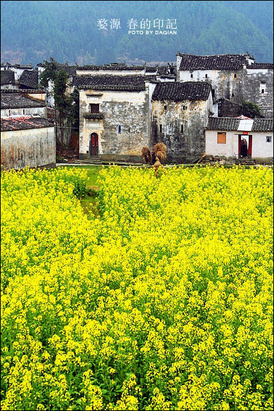 婺源【春的印记】