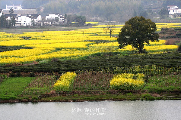 婺源【春的印记】