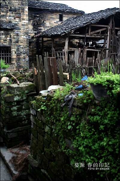 婺源【春的印记】