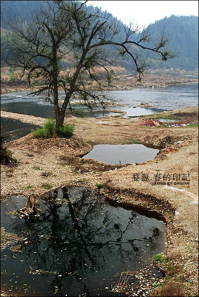 婺源【春的印记】