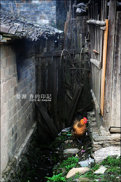 婺源【春的印记】