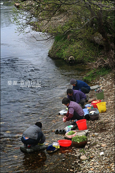 婺源【春的印记】