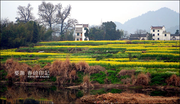 婺源【春的印记】