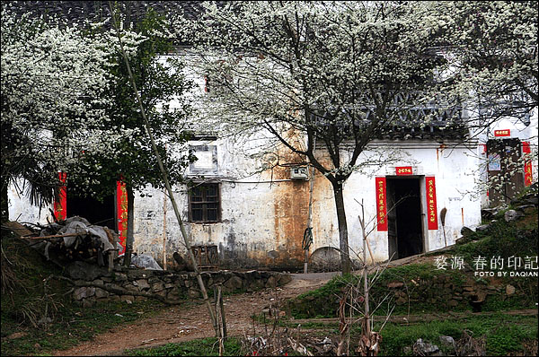 婺源【春的印记】