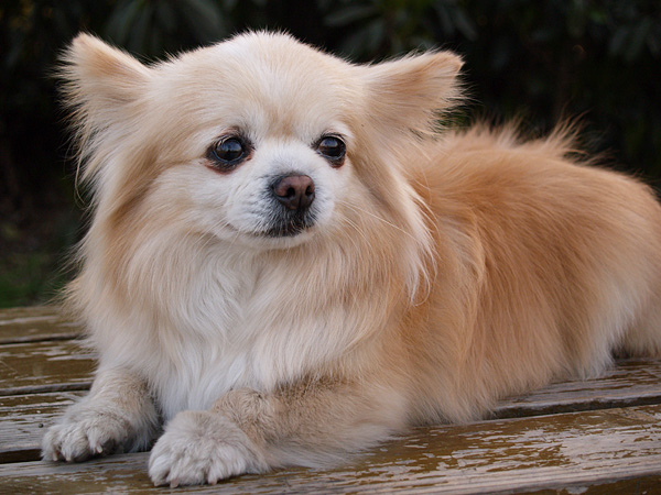 [原创]~~~它们~~~