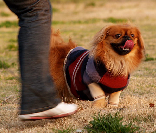 [原创]~~~它们~~~