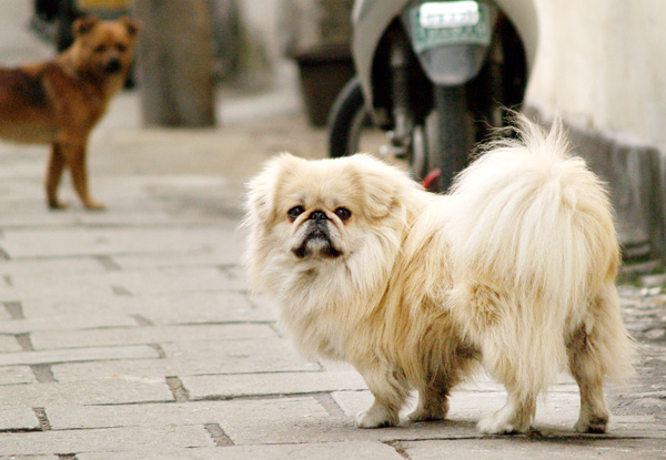 [原创]~~~它~~~它~~~