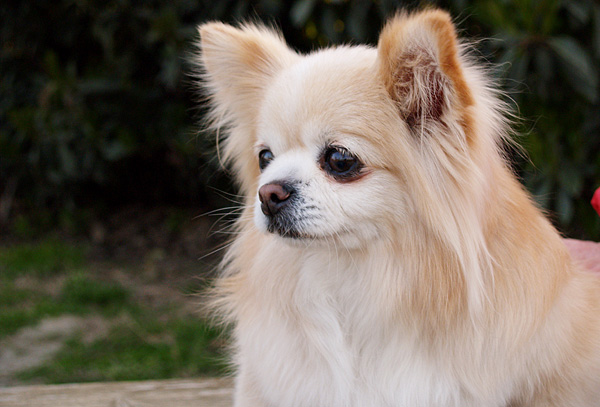 [原创]~~~它~~~它~~~