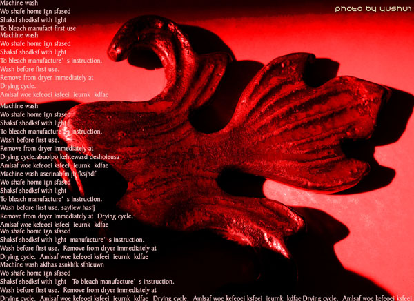 设计之余一组摄影作品