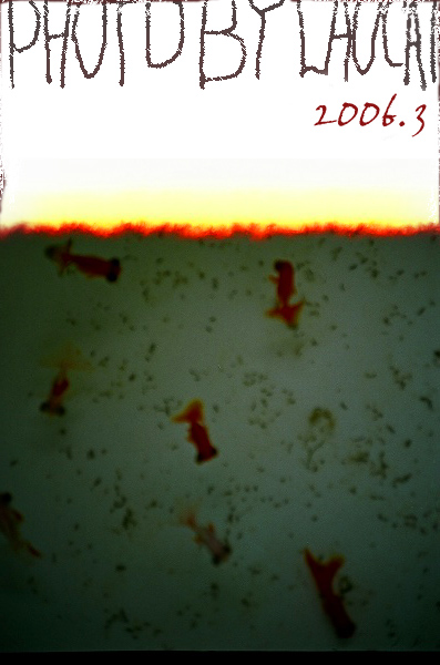 ~~~~~~ 杂碎一堆 ~~~~~~