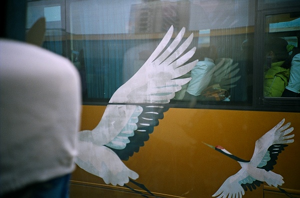 ~~~~~~ 杂碎一堆 ~~~~~~