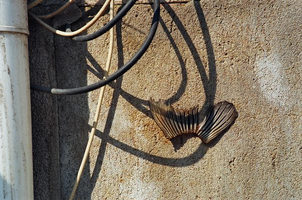 ~~~~~~ 杂碎一堆 ~~~~~~