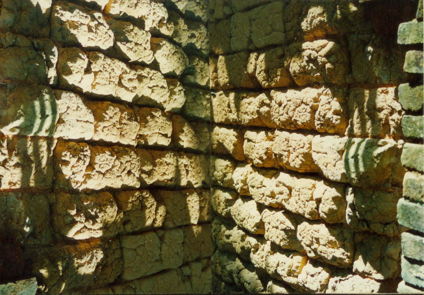 回想____我的写生照片