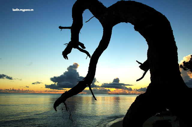 自己不会拍,偷人家拿来看看