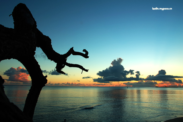 自己不会拍,偷人家拿来看看