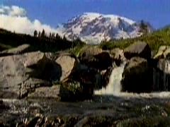 [献给小学生]小兴安岭的春天