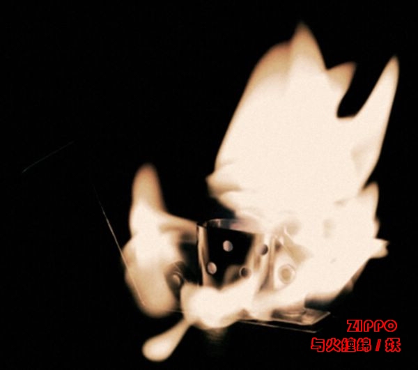 刚从飞机上掉下来的....