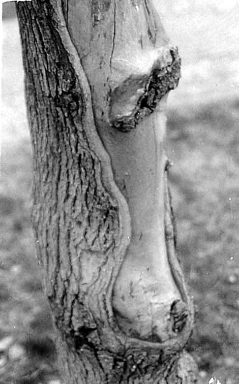 [原创]无聊的23号(数码翻拍