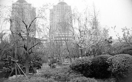 [原创]无聊的23号(数码翻拍