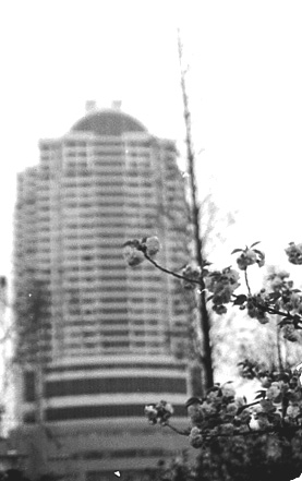 [原创]无聊的23号(数码翻拍