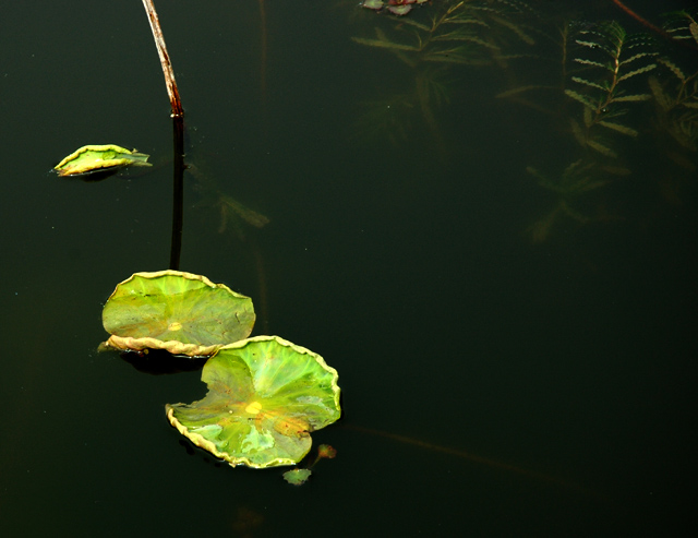唐闸公园(试机)