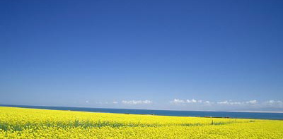 最是此时春意浓