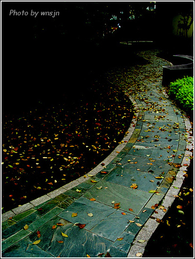 〖 印 象 〗 随 拍