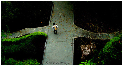 〖 印 象 〗 随 拍