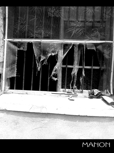 边走边拍之安徽老区行