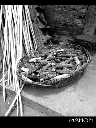 边走边拍之安徽老区行