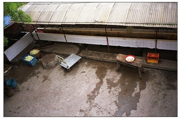 [原创]...乱谈...【回归】