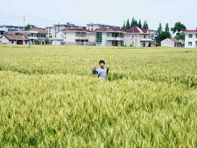 [原创]麦田的孩子2