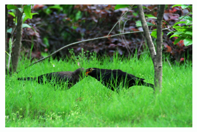 嫁汉嫁汉  穿衣吃饭