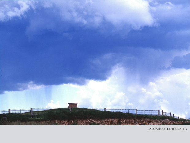 ~~~~~~~ 忆坝上清凉 ~~~~~~