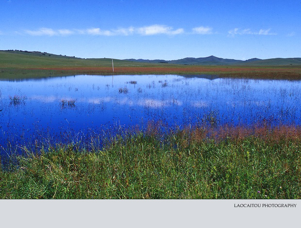 ~~~~~~~ 忆坝上清凉 ~~~~~~