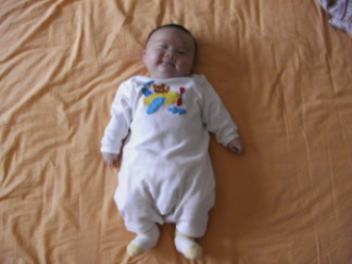 [原创]赛赛的时装秀!(我叫赛赛,赛车的赛,我才2个多月呢!)