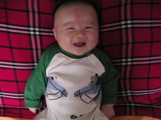 [原创]赛赛的时装秀!(我叫赛赛,赛车的赛,我才2个多月呢!)