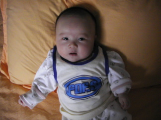 [原创]赛赛的时装秀!(我叫赛赛,赛车的赛,我才2个多月呢!)