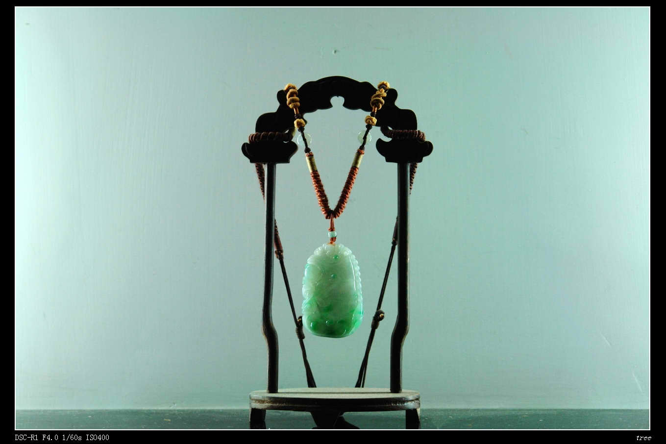 [贴图]星期天,在家无聊,拍了几张!